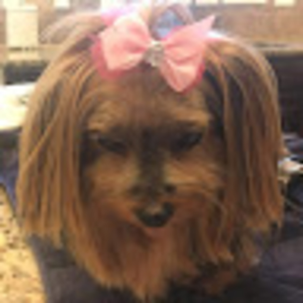 Meet your Posher, Raemar